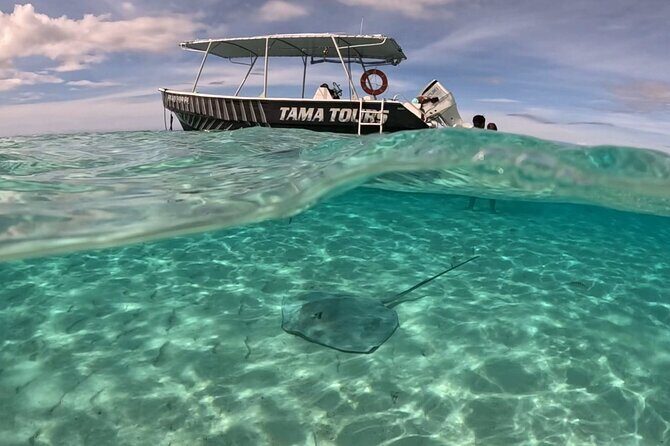 Lagoon Exploration and Snorkeling in Moorea - Why This Tour Stands Out