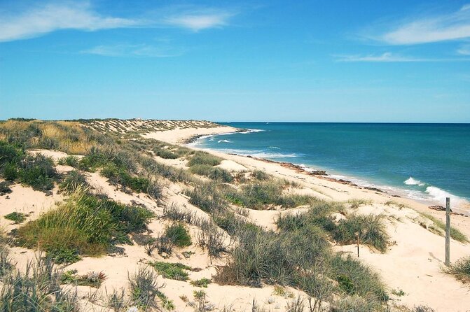 Lagoon Explorer - Ningaloo Reef Full-Day Kayaking and Snorkeling Adventure - Additional Info