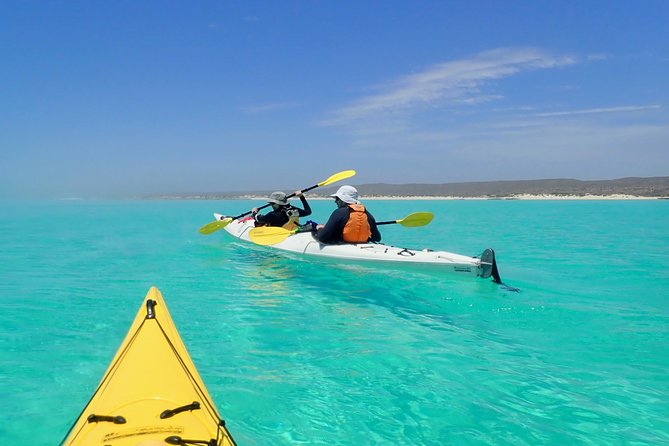 Lagoon Explorer - Ningaloo Reef Full-Day Kayaking and Snorkeling Adventure - Reviews