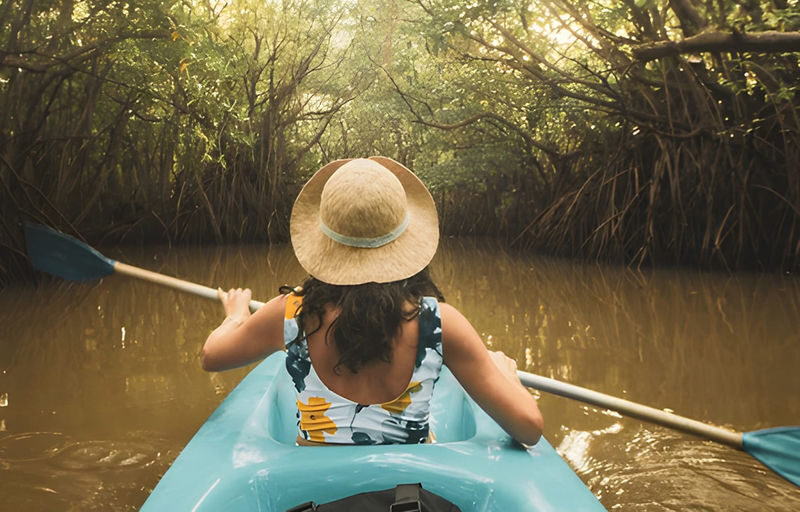 Lagoon Kayaking Tour from Negombo - What to know before you book