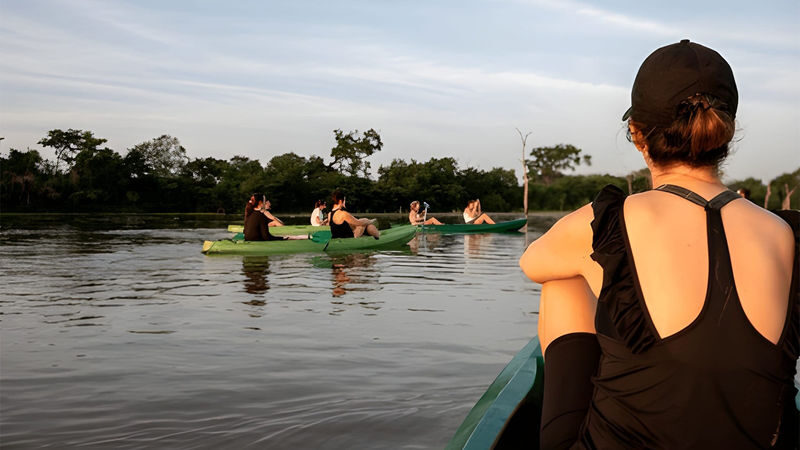 Lagoon Kayaking Tour from Negombo - A close-up view of Negombo Lagoon