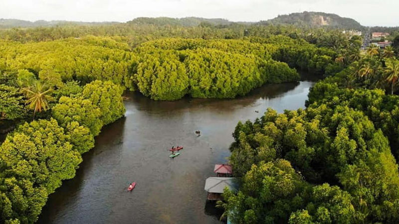 Lagoon Kayaking Tour from Negombo - Is the price fair for the experience?