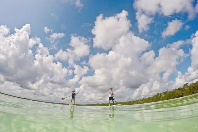 Lagoon Paddleboarding Tour in Tulum - Common Questions