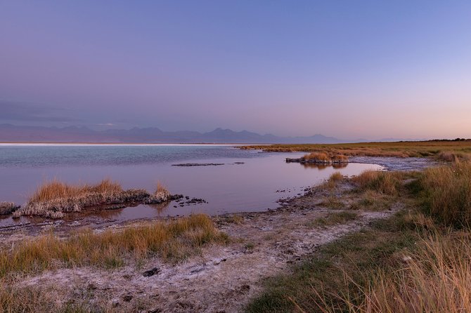Lagoons in Atacama Salt Flat - Half Day - Typical Tour - San Pedro De Atacama - Cancellation Policy