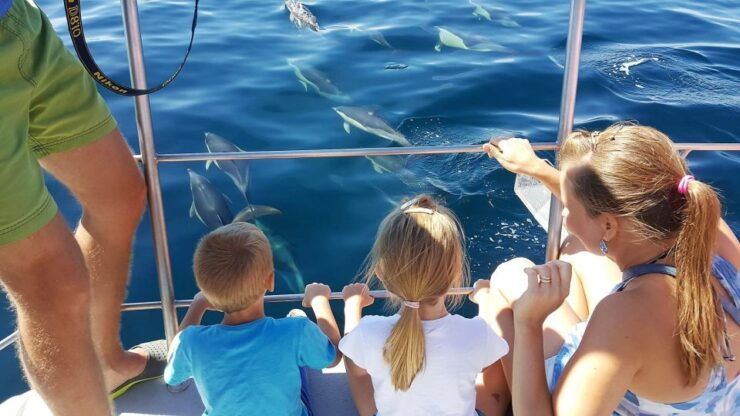 Lagos: 90-Minute Dolphin Watching by Catamaran - Booking Details