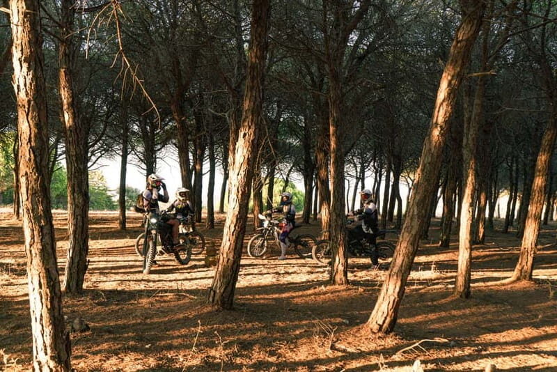 Lagos, Algarve: Adventure Tours on Surron Electric Dirtbikes - Introduction: Why This Tour Might Be Your Perfect Algarve Adventure