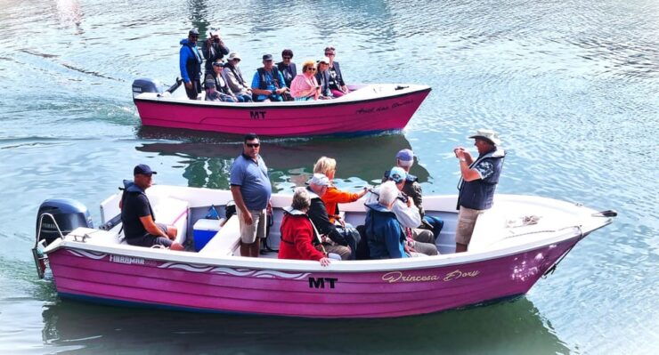 Lagos-Algarve: Grotto Trip - Boat Trip Late Afternoon - Experience Highlights