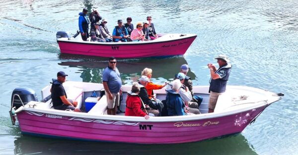 Lagos-Algarve: Grotto Trip - Boat Trip Late Afternoon - Frequently Asked Questions