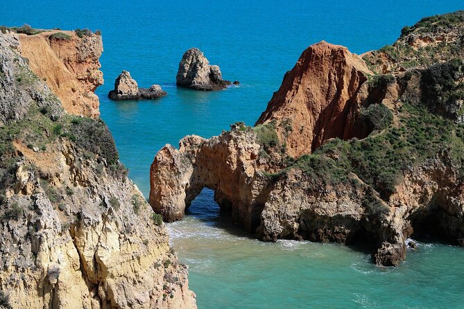 Lagos: Algarve Nature Tour in a VW T2 Van - Cancellation Policy