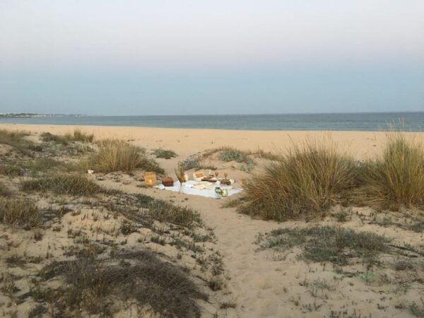 Lagos : Amazing Sunset Picnic at Beach - Pricing and Availability