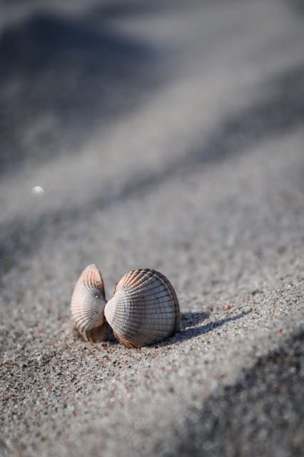 Lagos: Beach Tour With Drinks and Relaxing Massage - Included Amenities
