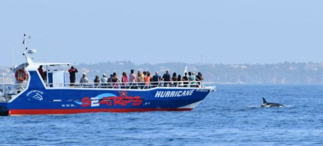 Lagos: Benagil Sea Cave Tour With a Local Guide - Customer Reviews and Feedback
