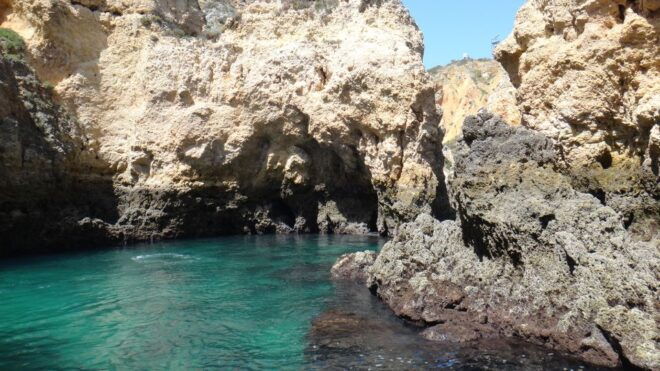 Lagos: Boat Cruise to Ponta Da Piedade - Participant and Date Selection