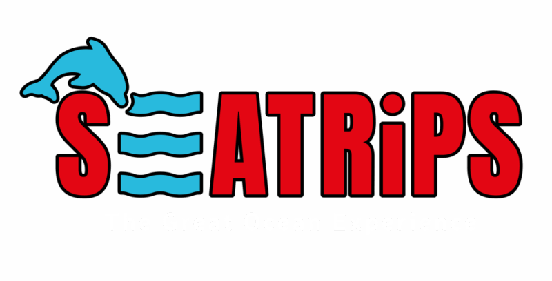 Lagos: Dolphin & Benagil Tour with Marine Biologist - Lagos: Dolphin & Benagil Tour with Marine Biologist – A Deep Dive into Algarves Coastline