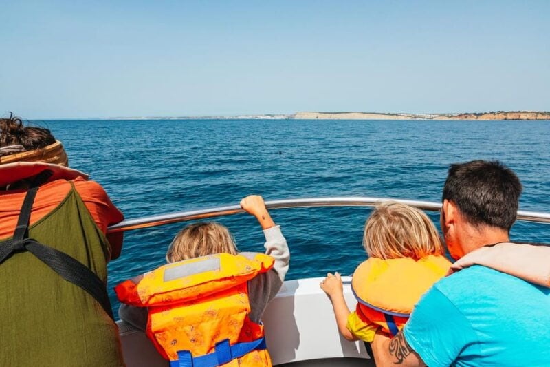 Lagos: Dolphin Watch Tour with Professional Marine Biologist - Who Would Love This Tour