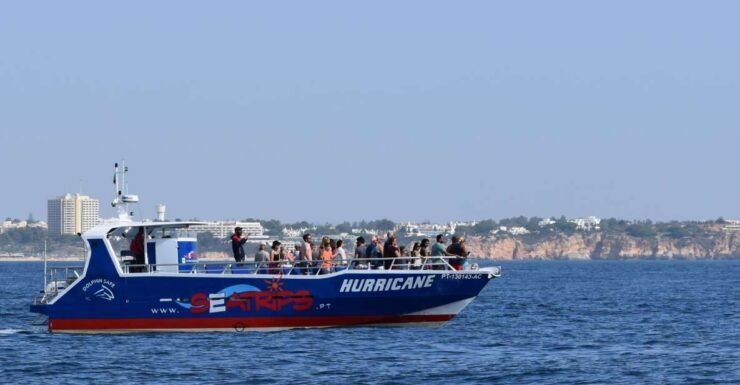 Lagos: Dolphin Watching & Benagil Cave Tour W/ Marine Guide - Activity Details