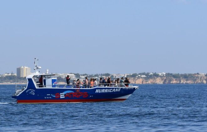 Lagos: Dolphin Watching & Benagil Cave Tour W/ Marine Guide - Inclusions