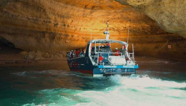 Lagos: Dolphin Watching & Benagil Tour W/ Marine Biologist - Pricing and Booking Information