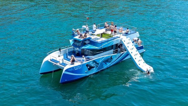 Lagos: Dolphin Watching Half-Day Cruise & Water Activities - Common Questions