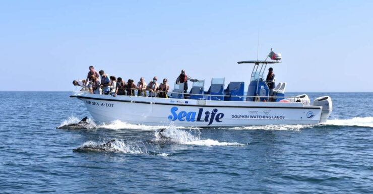 Lagos: Dolphin Watching With Marine Biologists - Activity Details