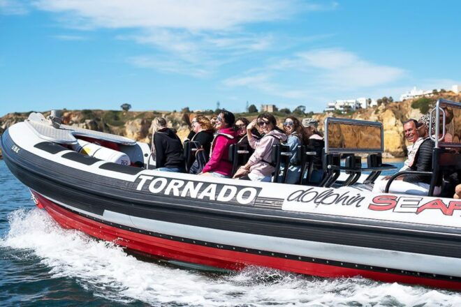 Lagos: Dolphin Watching With Professional Marine Biologists - Common Questions