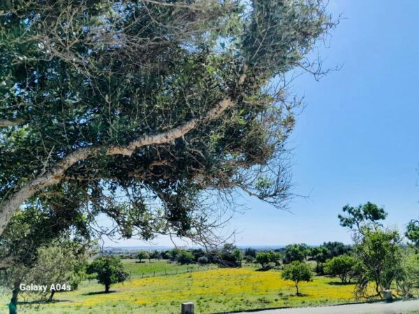 LAGOS: E-BIKE TOUR WITH WINE TASTING & TAPAS - The Sum Up