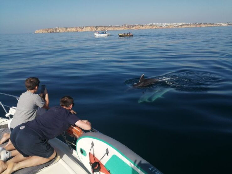 Lagos: Full-Day Private Yacht Charter - Activity Details