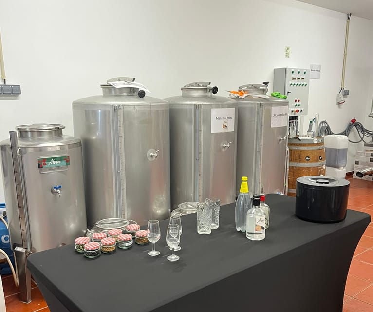 Lagos: Guided Gin Distillery Tour With Tasting at Alma Luz - Why This Tour Stands Out