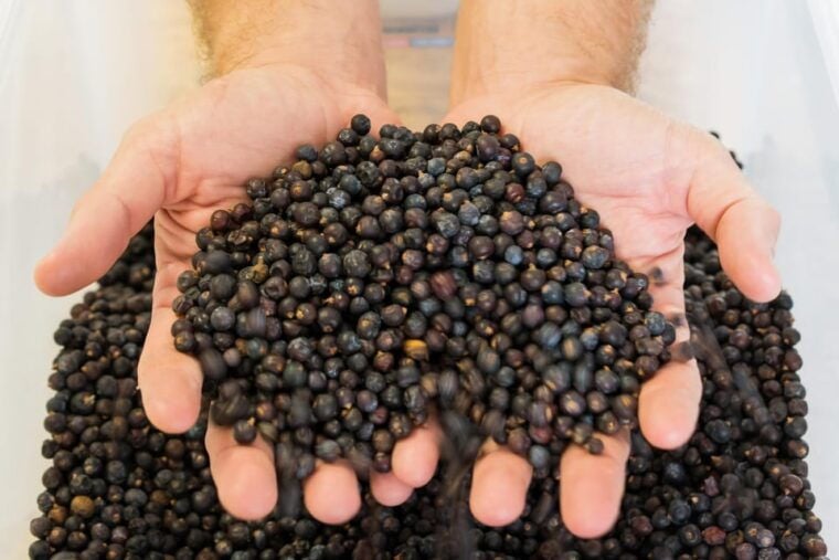 Lagos: Guided Gin Distillery Tour With Tasting at Alma Luz - The Sum Up