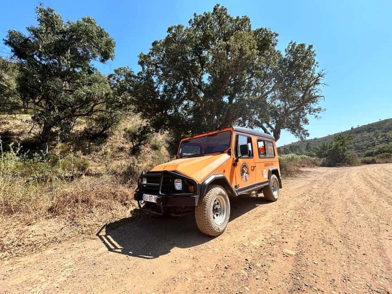 Lagos: Party - UMM Safari-Beer-Tour to the West-Coast - Good To Know