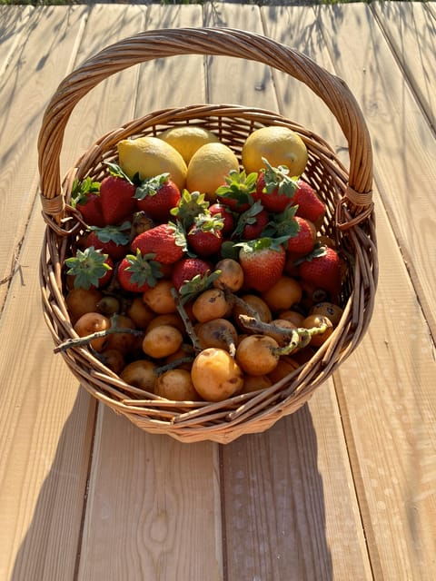Lagos, Praia Da Luz: Wine Tour, Tastings, Tapas and Music - Live Music and Entertainment