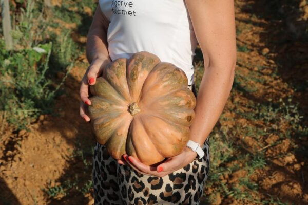 Lagos, Praia Da Luz: Wine Tour, Tastings, Tapas and Music - Frequently Asked Questions