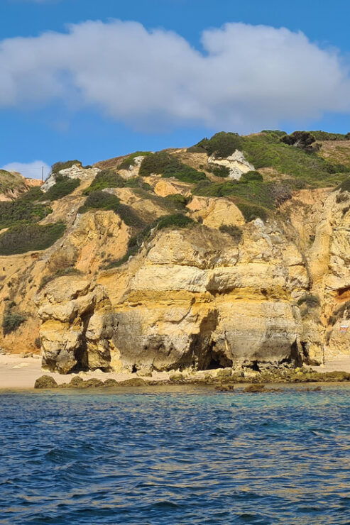 Lagos: Privat Trip up to 11 Pax to Grottos Ponta Da Piedade - Good To Know