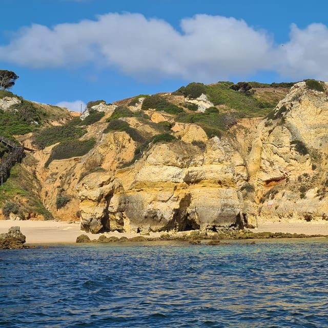 Lagos: Privat Trip up to 11 Pax to Grottos Ponta Da Piedade - Booking and Reservation Options