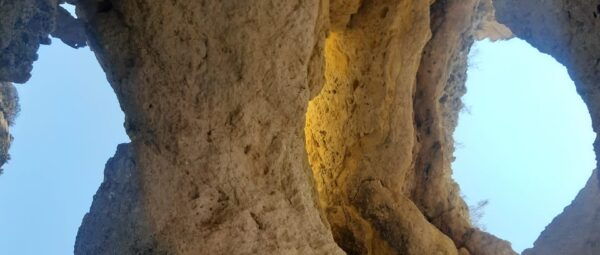 Lagos: Privat Trip up to 11 Pax to Grottos Ponta Da Piedade - Experienced Captains and Live Tour Guides