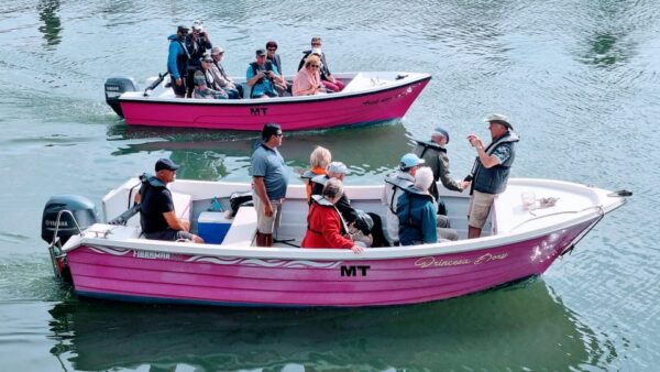 Lagos: Privat Trip up to 11 Pax to Grottos Ponta Da Piedade - Frequently Asked Questions