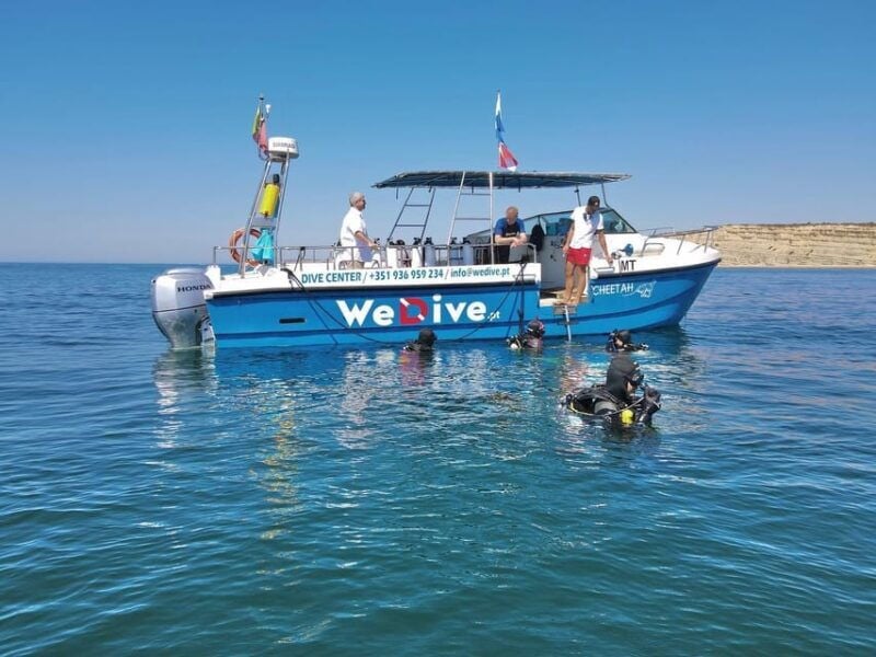 Lagos: Scuba Diving Experience for Beginners - Good To Know