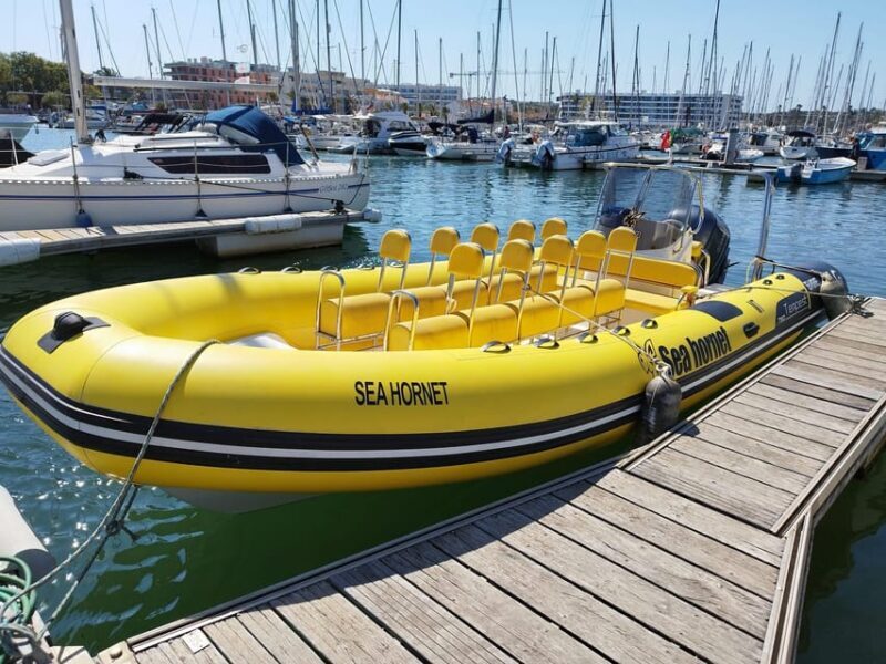 Lagos: Sunrise at Benagil Cave - A magical morning - A serene start to your Algarve adventure