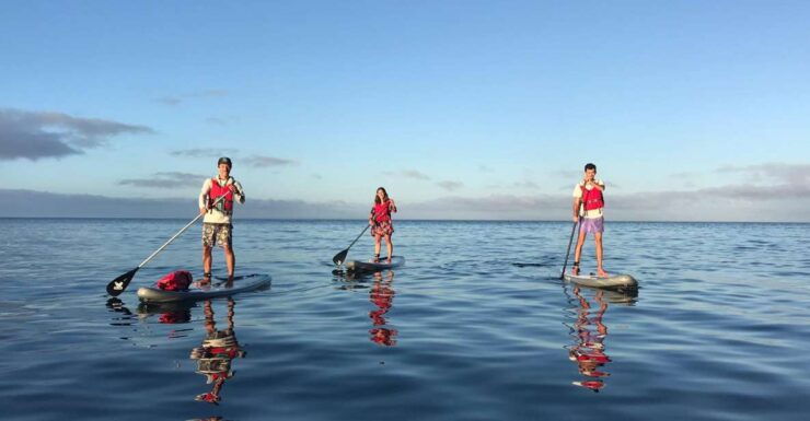 Lagos: SUP Tour to Ponta Da Piedade Caves - Tour Location