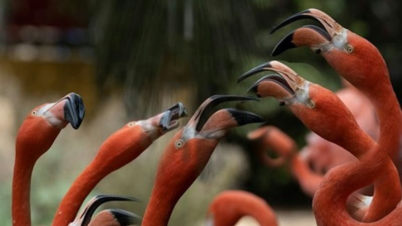 Lagos Zoo ticket - How much time should you set aside?