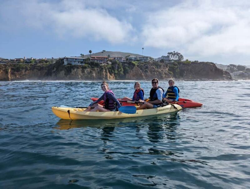 Laguna Beach: Ocean Kayak Private Tour with Guide - The Wildlife You Might Encounter