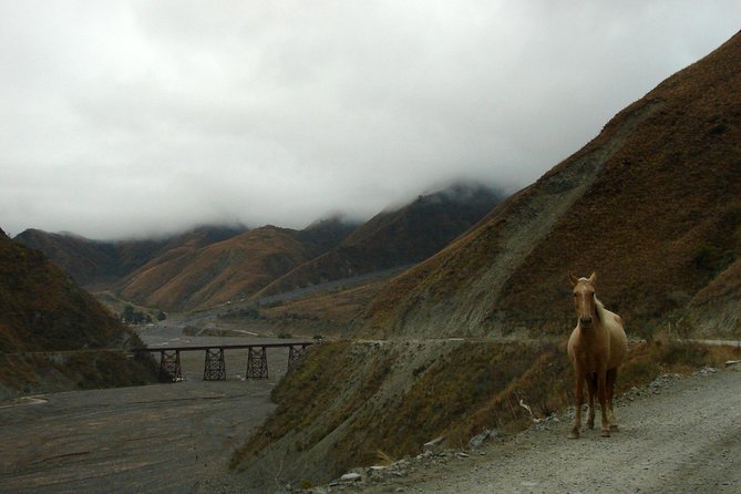 Laguna Del Toro and Flamingo-Watching 4WD - Inclusions and Exclusions