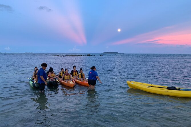 Laguna Grande Bioluminescent Bay Adaptive Paddling Kayak Tour  - Puerto Rico - Wheelchair Accessibility