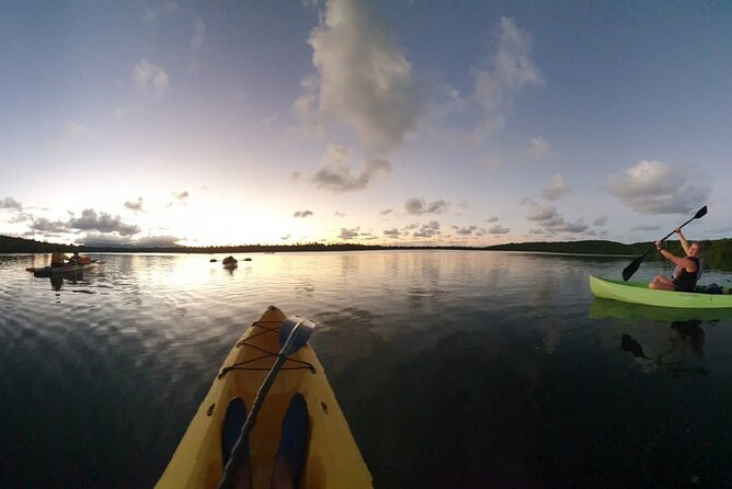 Laguna Grande Bioluminescent Bay Adaptive Paddling Kayak Tour  - Puerto Rico - Weather Dependence
