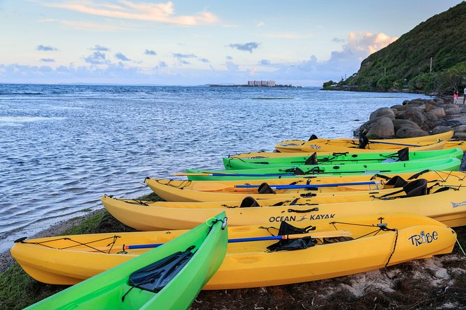 Laguna Grande Bioluminescent Bay Adaptive Paddling Kayak Tour  - Puerto Rico - Tour Pricing and Company Information