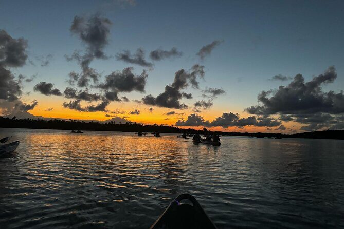 Laguna Grande Night Kayaking Bio Bay - Introduction: Exploring the Magic of Laguna Grande Night Kayaking