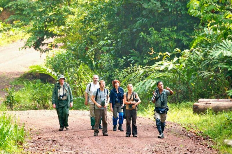 Lahad Datu: Danum Valley 3-Day Jungle Adventure with Guide - Authentic Encounters and Expert Guides