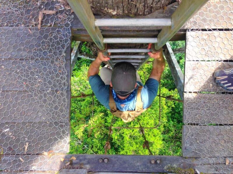 Lahad Datu: Danum Valley 3-Day Jungle Adventure with Guide - The Journey to the Heart of the Jungle