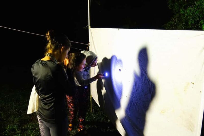 Lahad Datu: Danum Valley 3-Day Jungle Adventure with Guide - Nighttime Adventures and Nocturnal Wildlife