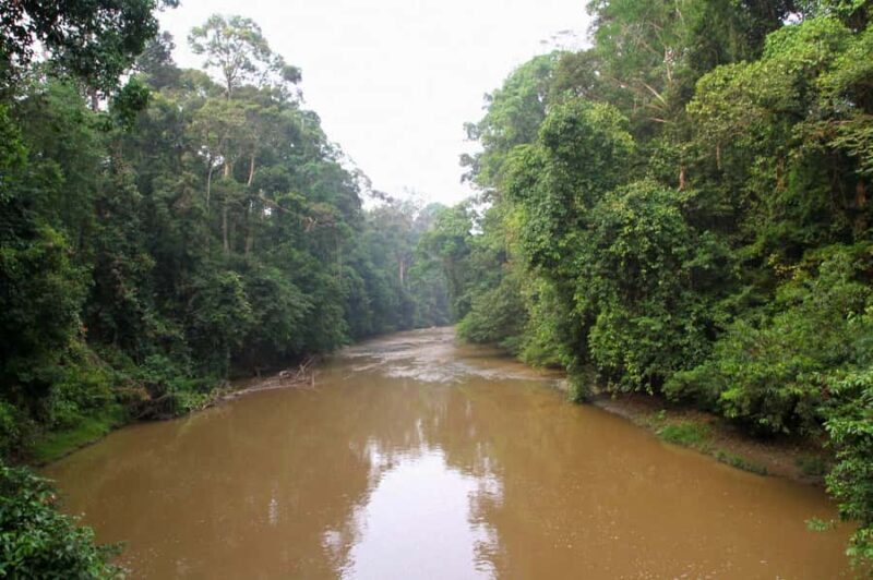 Lahad Datu: Danum Valley 3-Day Jungle Adventure with Guide - Accommodation and Facilities
